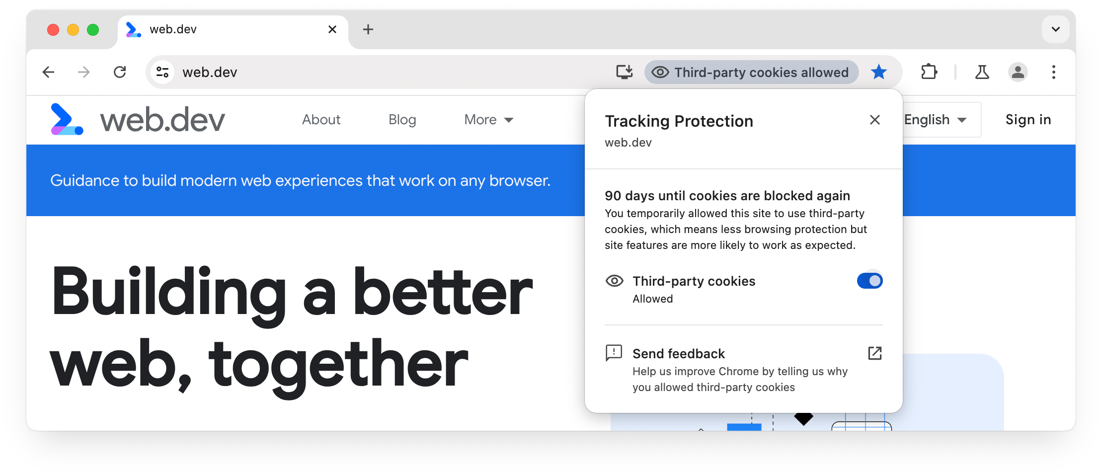 Chrome İzlemeye Karşı Koruma kullanıcı arayüzü: Geçerli site için üçüncü taraf çerezlerine izin verildi
